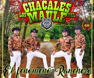 Los chacales: la mafia que ordenó el asesinato del Cardenal Posadas