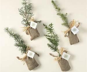 Love is Evergreen