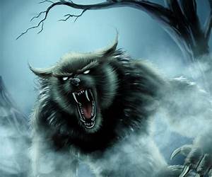 Lycanthrope: Book 1