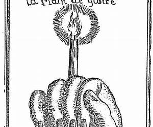 Main de Gloire Main de Gloire