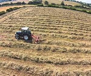 Making Hay: How to Cut, Dry, Rake, Gather, and Store a Nourishing Crop. A Storey BASICS® Title