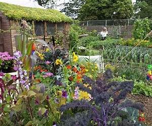 Making the Most of Your Allotment: Growing Your Own Vegetables, Herbs, Fruit and Flowers with Over 530 Practical Photographs and Illustrations