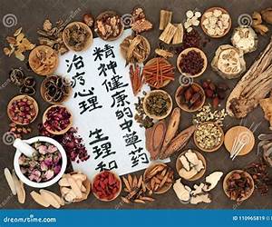 Medicina chinesa: acupuntura e fitoterapia