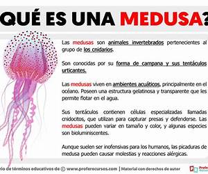 Medusa