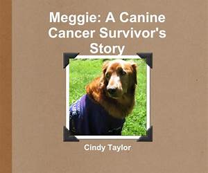 Meggie A Canine Cancer Survivor's Story Meggie A Canine Cancer Survivor's Story