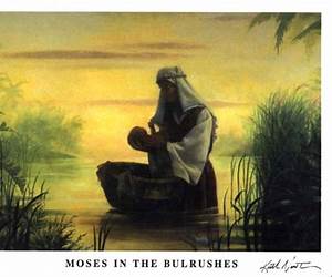 Moses in the Bulrushes (My First Bible Stories)