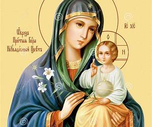 Mother of God: An Extraordinary Journey into the Uncharted Tributaries of the Western Amazon