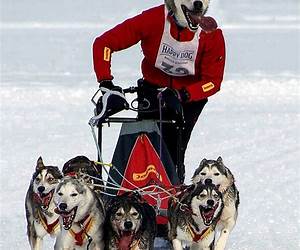 Musher Author Marcus Malte