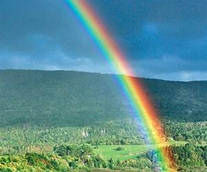 My Rainbow: Seven Riveting Short Stories My Rainbow: Seven Riveting Short Stories