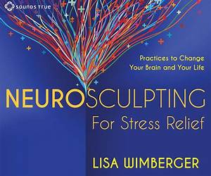 Neurosculpting for Stress Relief: Four Practices to Change Your Brain and Your Life