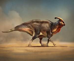 New to Paleo: A Beginner