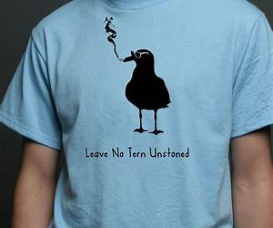 No Tern Unstoned : musings at breakfast