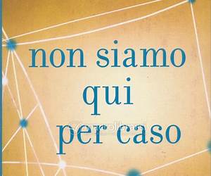 Non siamo qui per caso