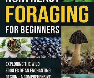 Northeast Foraging: 120 Wild and Flavorful Edibles from Beach Plums to Wineberries