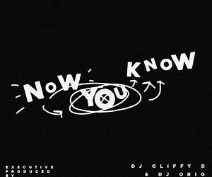 Now You Know: A Novel
