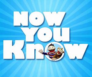 Now You Know: A Novel Now You Know: A Novel