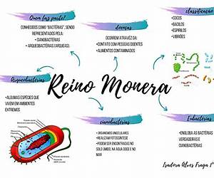 O ReinoHonra, Coragem e Glória O ReinoHonra, Coragem e Glória