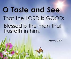 O Taste and See: A Biblical Reflection on Experiencing God