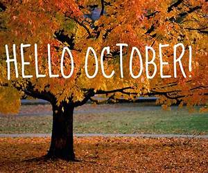 October By Zoë Wicomb October By Zoë Wicomb