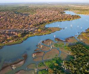 Okavango: Beware the Ultimate Cure Okavango: Beware the Ultimate Cure