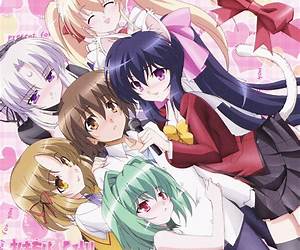 Omamori Himari, Vol. 11 (Volume 11) (Omamori Himari, 11)