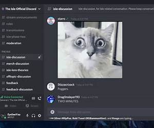On Discord Isle (Dawnhawk Trilogy #2)
