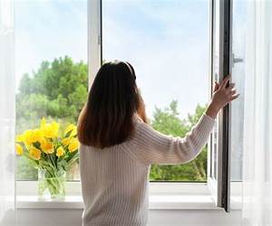 Open Windows (A Beka Book)