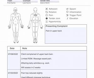 PT Clinical Notes: A Rehabilitation Pocket Guide PT Clinical Notes: A Rehabilitation Pocket Guide