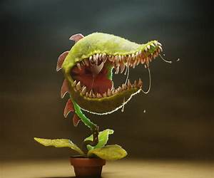 Peaceful Plant Eaters (Discovering Dinosaurs)