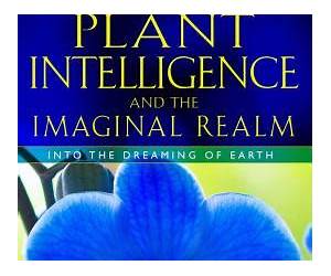 Plant Intelligence and the Imaginal Realm: Beyond the Doors of Perception into the Dreaming of Earth