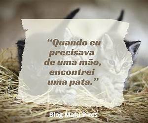 Poemas com Animais Poemas com Animais