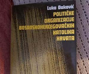 Političke organizacije bosanskohercegovačkih katolika Hrvata