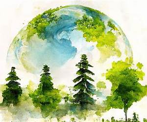 Political Ecologies: Essays in Environmental Science and Policy