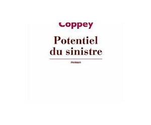 Potentiel du sinistre