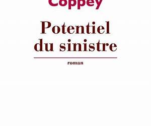 Potentiel du sinistre