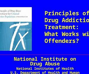 Principles of Drug Addiction Treatment