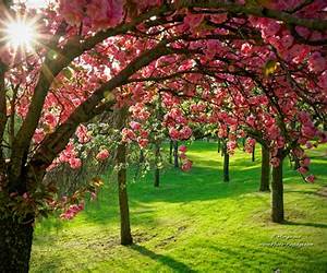 Printemps