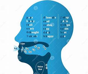 Pronunciation and Phonetics: A Practical Guide for English Language Teachers (ESL \u0026 Applied Linguistics Professional Series)