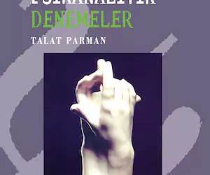 Psikanalitik Denemeler