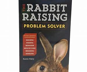 Rabbit-Raising Problem Solver