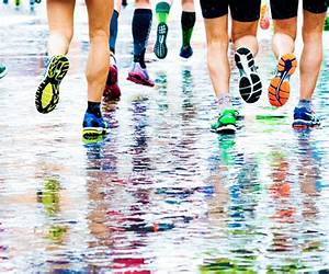 Racing in the Rain: My Life as a Dog