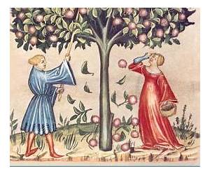 Reading Piers Plowman