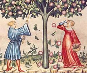 Reading Piers Plowman