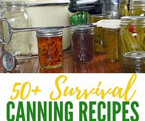 Recipe for Survival: A homesteading guide for putting self-sustained food on your off-grid table.