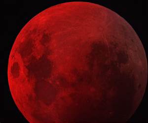 Red Moon (Sinclair Pack #1)