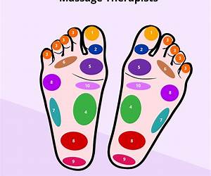 Reflexology: Basics of the Middle Way