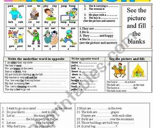 Revision Exercises, Based on Textbook of Biochemistry: Essay Questions, Short Notes, Viva Voce and Multiple Choice Questions