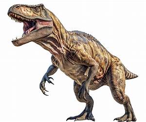 Rex