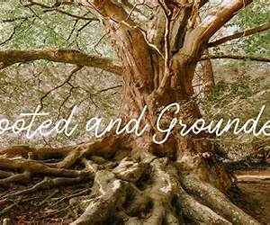 Rooted Grounded: The Church as Organism and Institution Rooted Grounded: The Church as Organism and Institution