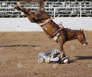 Rough to Ride